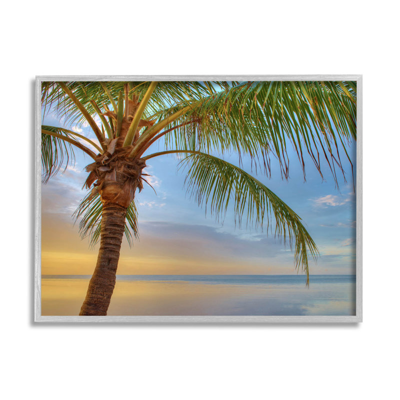 «Sunrise Palm Tree Sky Reflection», art numérique par Jack Reed, H 16 po x l 20 po x P 1,5 po, Encadré gris