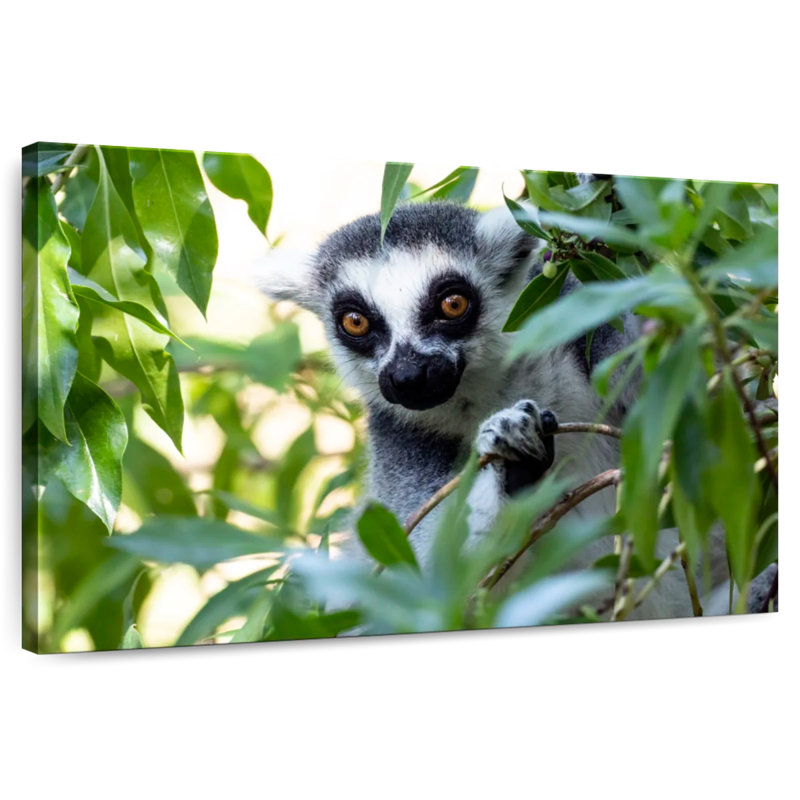 Forest Lemur, 34" H x 51" W
