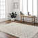 Alleria Oriental 160cm X 213cm Area Rug