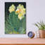  «Cactus 2» par Kristy, art mural en verre acrylique, 12 po x 16 po-1221792034