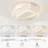 Ceiling Fan with LED Lights