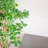 72'' Faux Olive Tree Tree in Pot