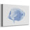 Poisson tropical bleu et blanc VI - Cavas enveloppés de galerie