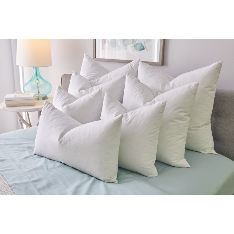 Polyester Sham Insert - Rectangular Poly Filled Decorative Pillow Insert - Twin Pack - 20" x 36" - White, King