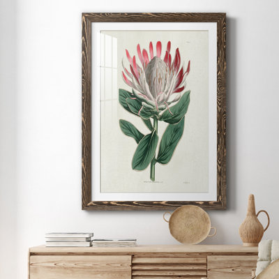 Protea N13 - Peinture encadrée