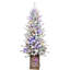 Arbre de Noël illuminé 4 pi avec base scintillante - 100 lumières DEL multicolores, baies rouges et pommes de pin