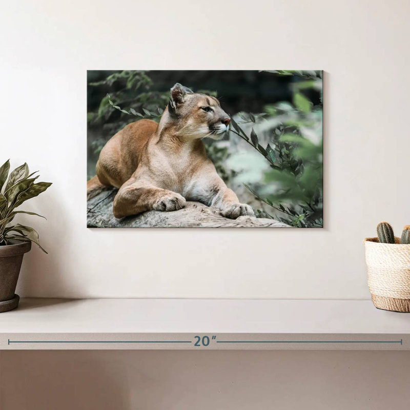 Brampt Forest Jaguar, 8" H x 12" W