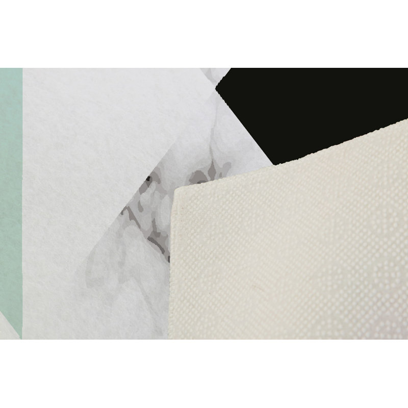 Premium 3D Printed Carpet, 4 x 6 ft, 100% Polyester, 0.04 in Pile Height | Antibacterial, Non-Slip PVC Dot Underside, Machine Washable | Ideal for Living Room, Bedroom, and Playroom, Stylish & Durable Design