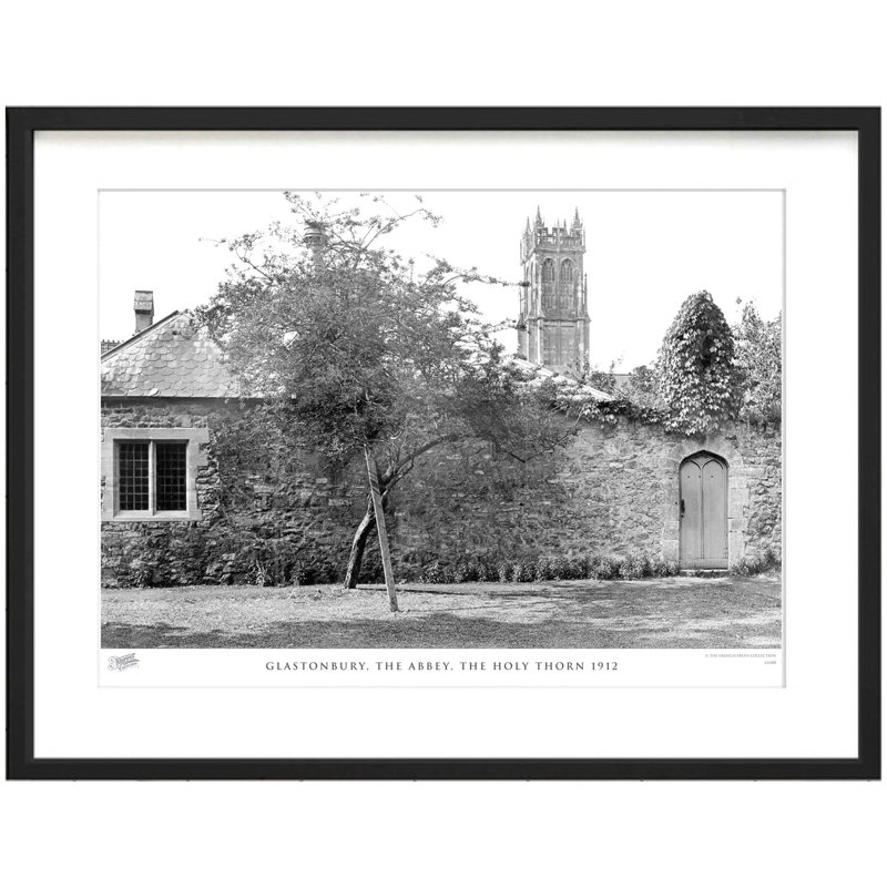 Glastonbury, The Abbey, The Holy Thorn 1912 - Single Picture Frame Print, 45cm H x 60cm W x 2.3cm D