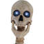 Figurine Skeletons Bones McNeely the Towering