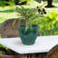 Jardinière extérieure Berlina-1219324375-1293001908