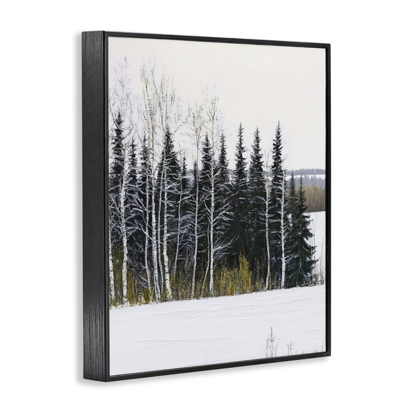 Paysage d'hiver, giclée encadrée par Arlington Prints, H 20 po x l 16 po, Giclée encadrée noir minuit