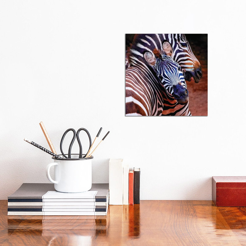 Two Zebras Playing With Each Other 1 Piece Wrapped Canvas Wall Art, 30.48 cm H x 30.48 cm W