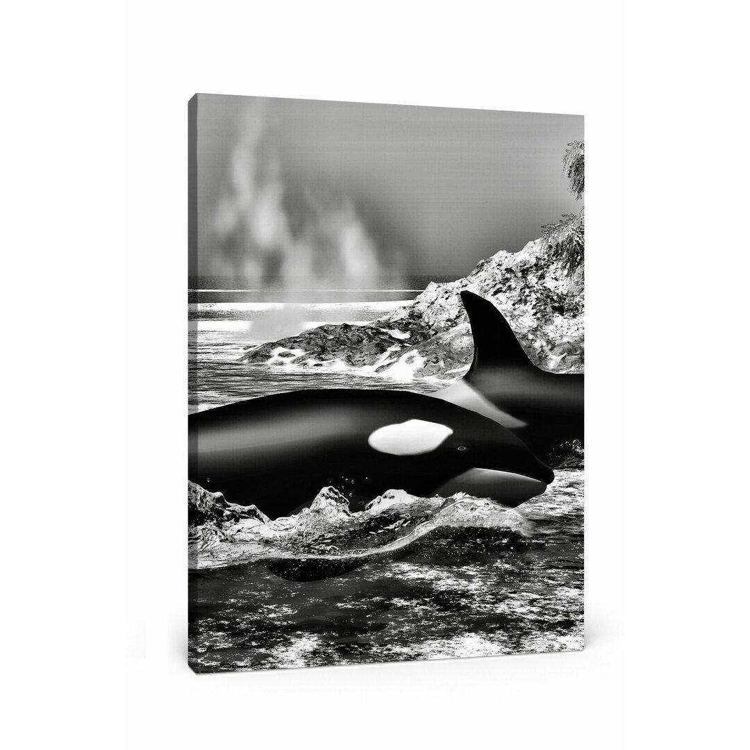 Leinwandbild Orcas vor Insel