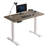 Fanchon 47.24'' Height Adjustable Standing Desk-549531696