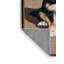  Washable Miniature American Shepherd Dogs Area Rug-2096483303