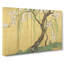 Cherry & Maple Trees Vol.1 by Sakai Hoitsu - Wrapped Canvas-55371450