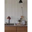 Dish Drainer-1495435737