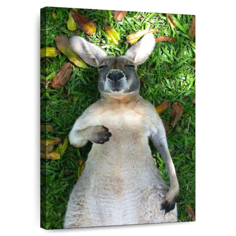 Sleeping Kangaroo, 30" H x 20" W