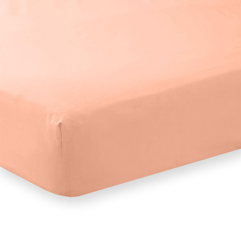 Adalira Cotton Blend/Polyester Plain Weave / Muslin Fitted Sheet, Single, Peach, Fitted sheet