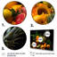 Caraïbes, fruits I - impression-1762428210-1762428209