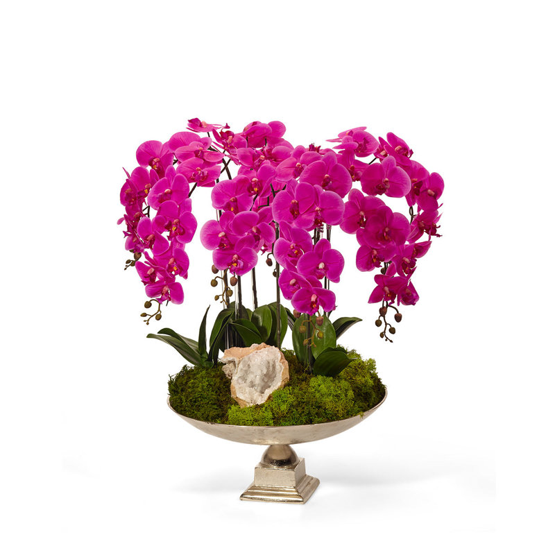 Fuchsia Phalaenopsis Orchid and Succulent Arrangement in Silver Tin Urn