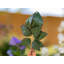 Hubler Plastic Garden Statue
