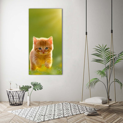 Red Cat - Wrapped Canvas Print