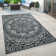 Nuirfield Ikat Area Rug