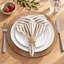 Serviette de table 100 % coton teint en fil, à rayures, 45,7 cm x 45,7 cm-2081716184