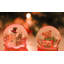 Christmas Snow Globe