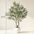 8FT Full & Lush Multi-Branch Artificial Olive Tree-1006064834