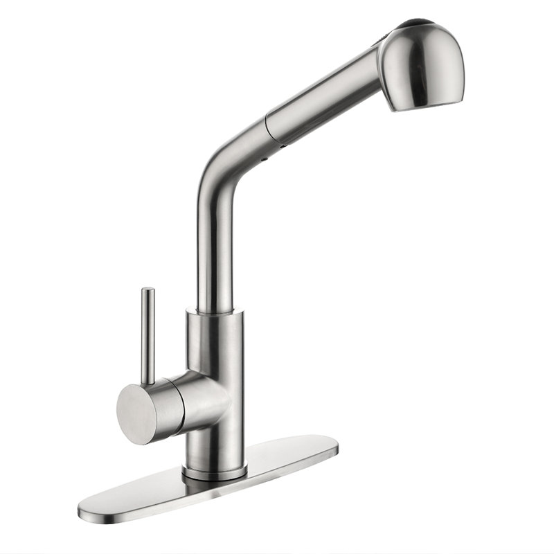 FB WERFY Pull Out Kitchen Faucet,  Brushed Nickel