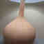 Photos des clients 1 de 3