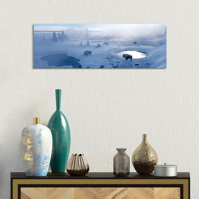 Bison West Thumb Geyser Basin Yellowstone National Park, Wyoming, USA by Panoramic Images - Wrapped Canvas Panoramic Print