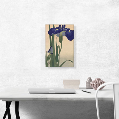 " Blue Iris "