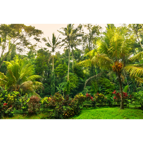 Coconut Palm Paradise