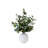 Weller Eucalyptus Arrangement in Planter