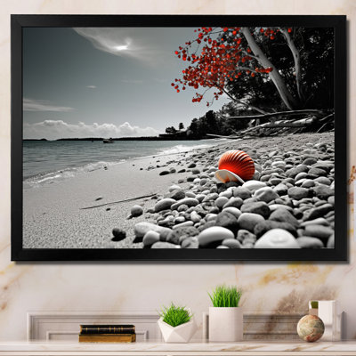 «Grey Red Beach Seashell Symphony», reproduction