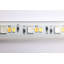Ruban à lumière blanche réglable dimension 393,7 po RVB Dimension Pro J-Box connexion étoile de mer IOT