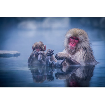 " Japanese Snow Monkey " by Structuresxx