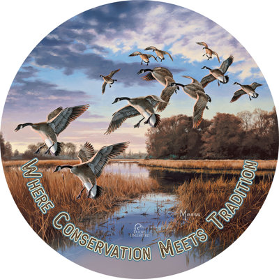 Panneau rond « Daybreak Decent » de 53 cm (21 pouces) : Là où la conservation rencontre