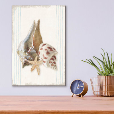'Floursack Nautical Shells 2'  by Danhui Nai Acrylic Glass Wall Art
