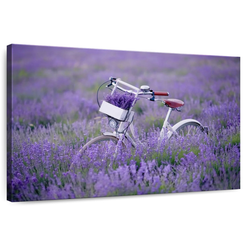 Vélo de campagne Mehar, H 16 po x l 24 po