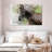 Brampt Magnificent Zebra-108155964