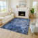 Machine Washable Indoor/Outdoor Derrick ACN2224 Floral Rug