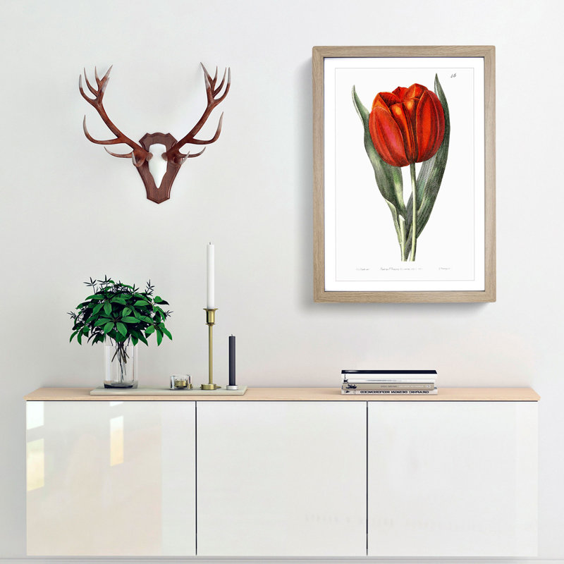 Red Tulip - Framed Print, 36cm H x 27cm W x 2cm D, Oak Framed
