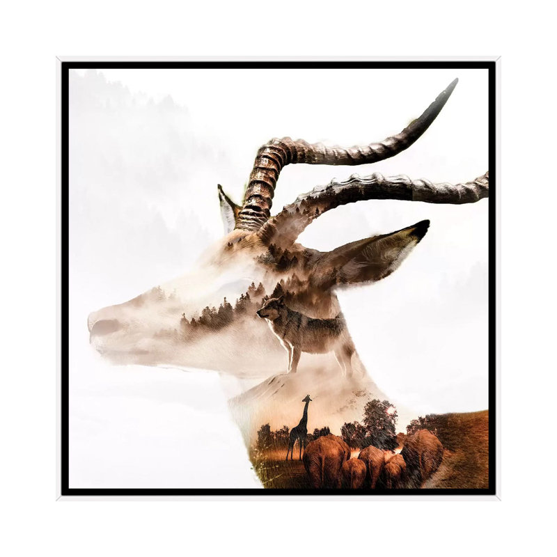Gazelle by Paul Haag - Print on Canvas, 45.72 cm H x 45.72 cm W, White Framed