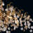 Campobasso 8 - Light Dimmable Novelty Chandelier