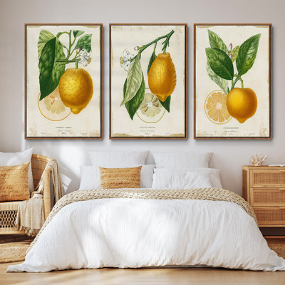 Citron français I 3 pièces